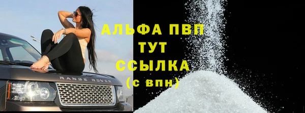 прущие грибы Беслан