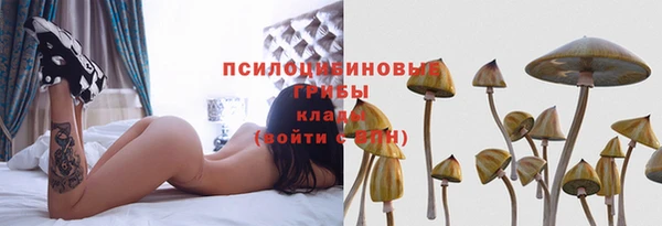 гидра Протвино