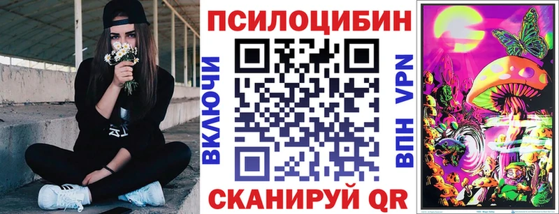 Псилоцибиновые грибы Psilocybine cubensis  Купить  Котельниково 